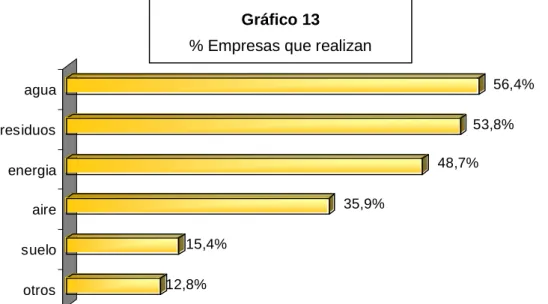 Gráfico 13 