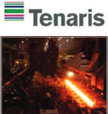 Figura 1. Tenaris 