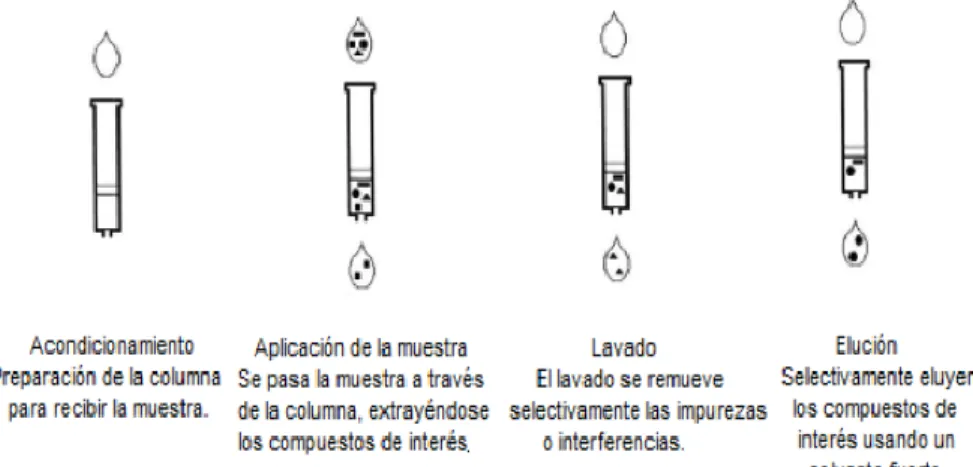 Figura 11. Etapas de extracción en fase sólida [26]. 