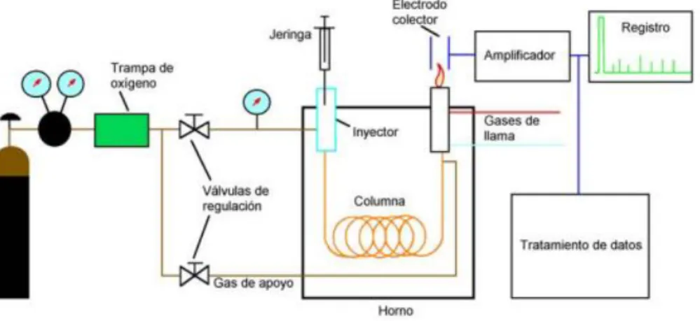 Figura 12. Esquema básico del cromatógrafo de gases [29]. 