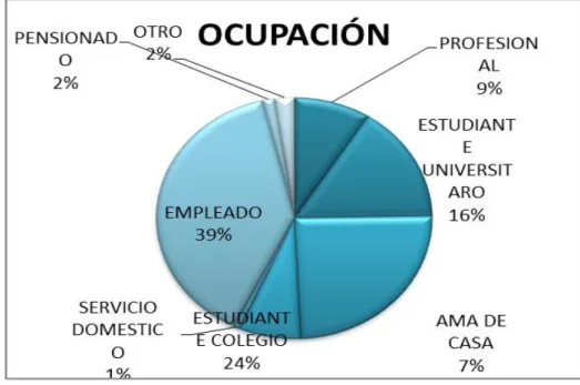 Gráfico 2. Ocupación del Encuestado. 