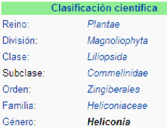 Gráfico Nº 1: Clasificación Científica 