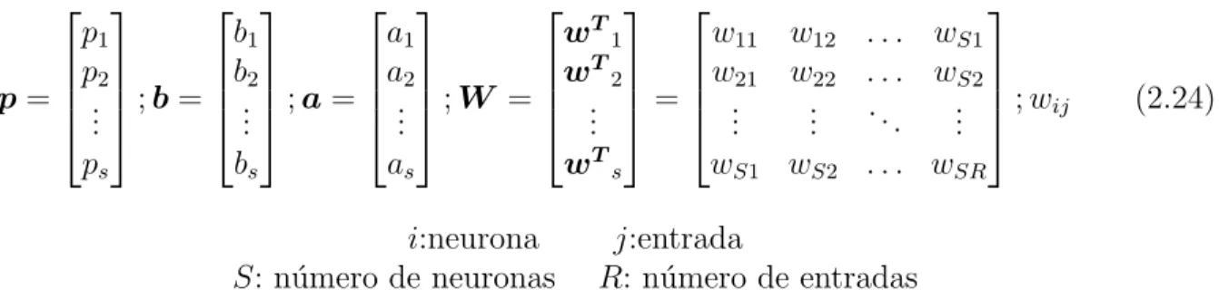 Figura 2.9: Red monocapa comprimida