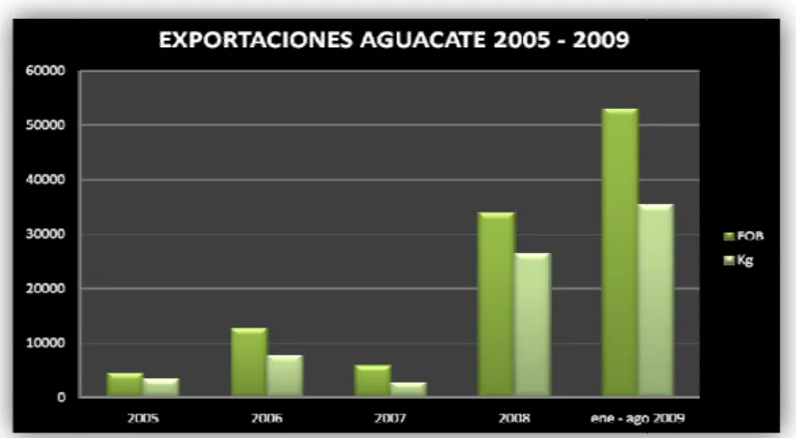 Ilustración 1 Exportaciones de Aguacate