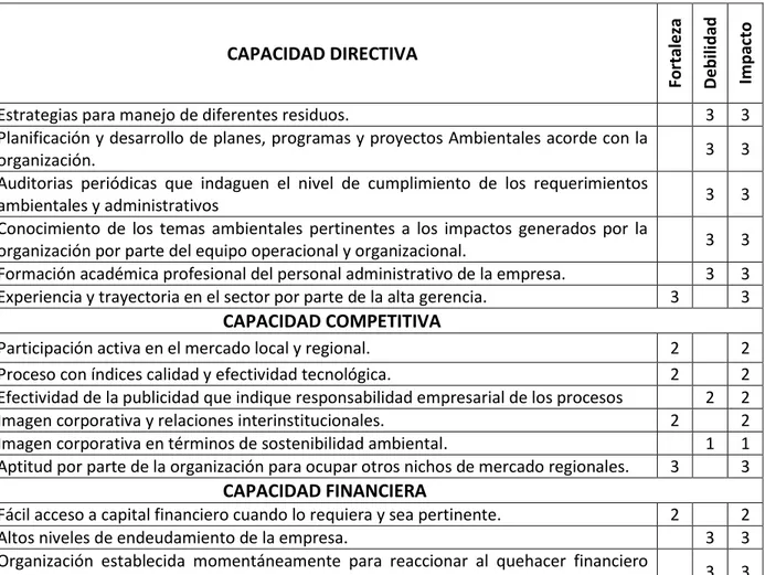 Tabla 8. Matriz de Diagnostico Interno PCI. 