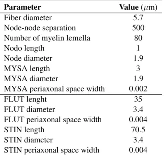 Table 6.1: Morphological parameters of the multi-compartment myelinated axon model [11]
