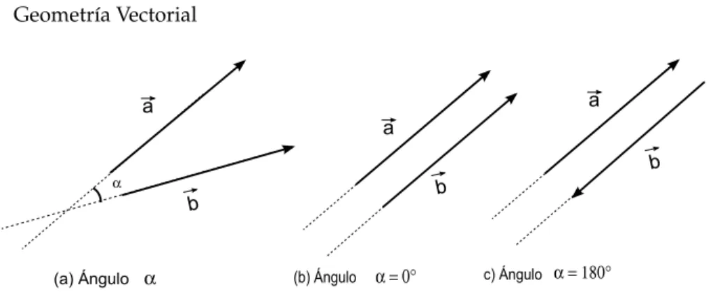 Figura 1.9 Ángulo entre dos vectores