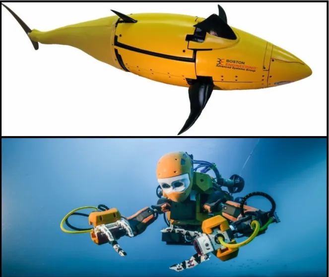 Figure 2.2: Underwater systems.
