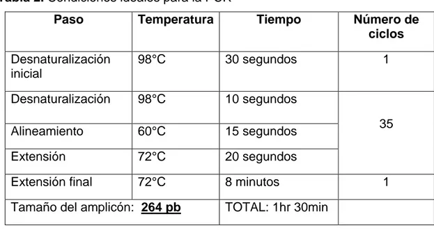 Tabla 3. Equipos e instrumental 