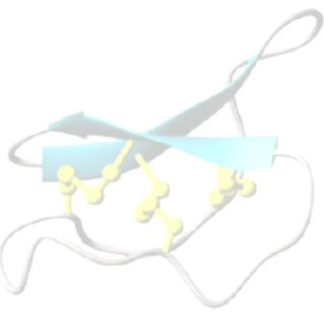 Tabla  23.  Concentración  de  la  fracción  GST-M 2 -ODS-2,  porcentaje  de  inhibición  promedio  de  la  α-glucosidasa  con  la  desviación  estándar……………………………………………………………………………86 