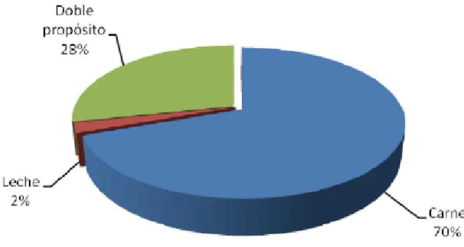 Figura 5. Distribución porcentual del inventario bovino según orientación de la raza 