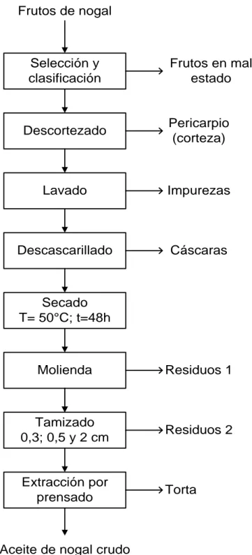 Figura 2.3 Diagrama del proceso para la obtención del aceite de nogal 