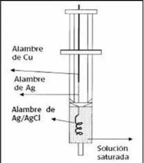 Figura 13: Electrodo de Calomel,  tomada de [33]. 