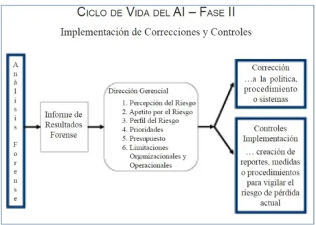 Figura 6 -  Implementación de Correcciones y Controles