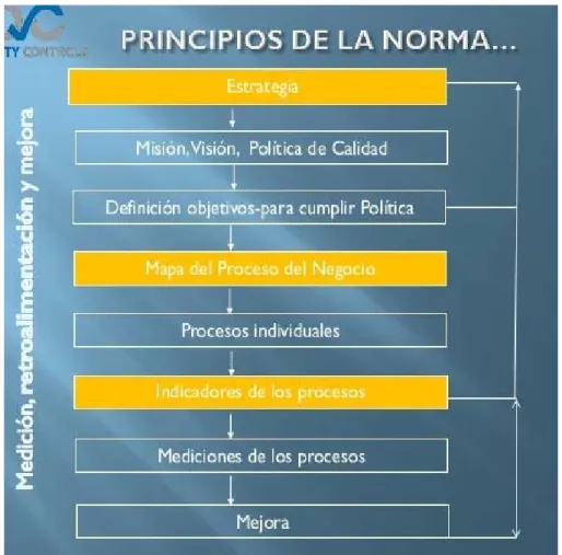 Figura 4 Principios de la Norma de un proceso 