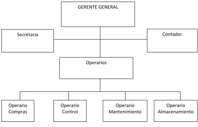 Figura 6Organigrama De SPECTRUM  AUTOR: Empresa SPECTRUM 