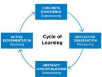 Figura  8  Ciclo  del  aprendizaje.  Copyright  (2014)  Intercultural  Programs,  Inc