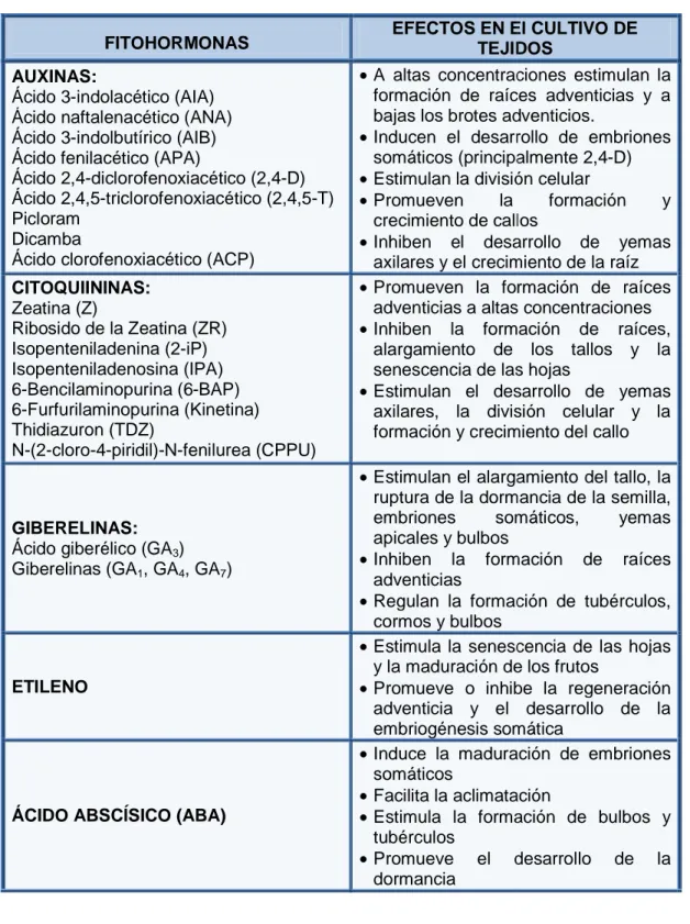 Tabla  2.  Resumen  de  las  principales  fitohormonas  empleadas  en  el  cultivo  de tejidos  y sus principales efectos