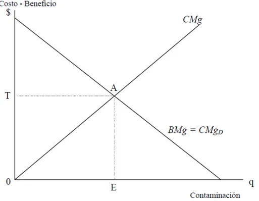 Figura 2. Cuantificación de las Externalidades Ambientales  ( Coria, 2008 ) 
