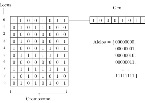 Figura 1.11 Codificación matricial de un cromosoma para un AG 