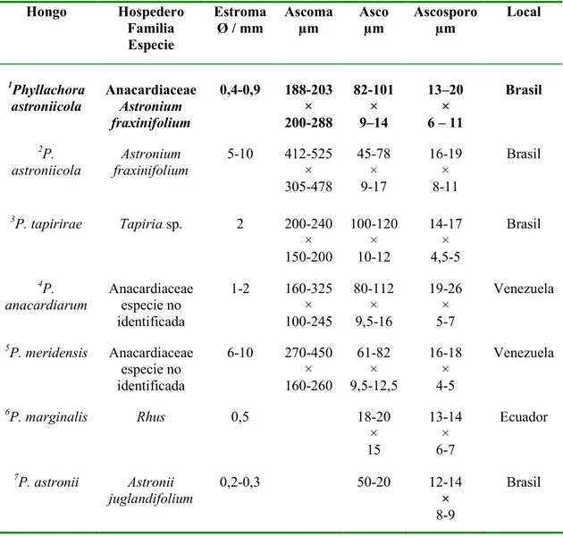 Tabla  2.  Comparación  de  especies  del  género  Phyllachora  asociadas  a  la  familia hospedera Anacardiacea 