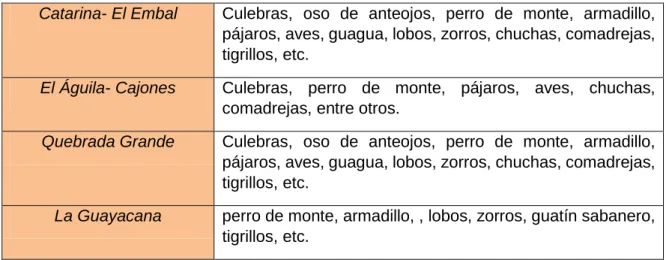 Cuadro  3: Especies de Flora predominantes por microcuenca 