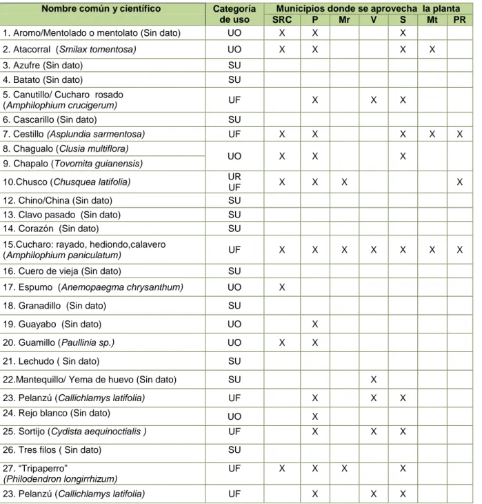 Cuadro 5. Referencias preliminares de las plantas silvestres útiles para cestería en Risaralda
