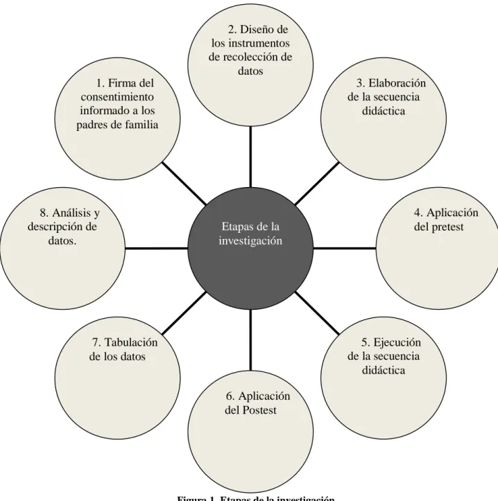 Figura 1. Etapas de la investigación