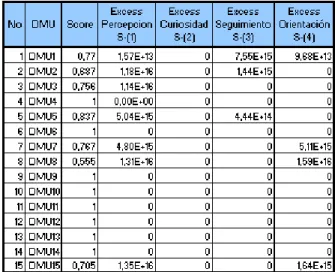 Tabla 3. Algunas salidas del DEA Solver. 