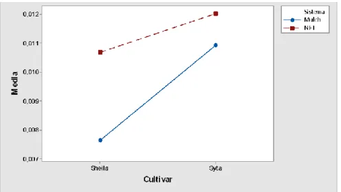 Figura 3.3. Gráfico de interacción sistema de producción – cultivar para el diámetro del  tallo al quinto racimo 