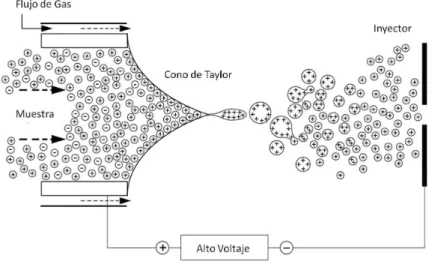 Figura 2.5: Cono de Taylor en la ionización por ESI. [12]
