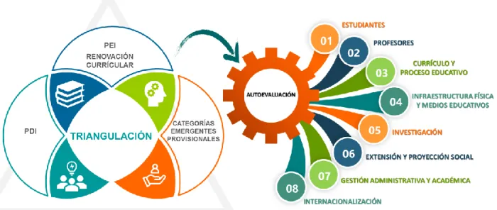 Figura 7. Categorías centrales 