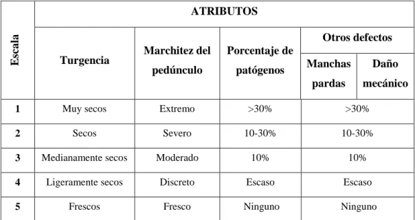 Tabla 10. Escala de evaluación de la calidad visual para mazorcas de maíz tierno  