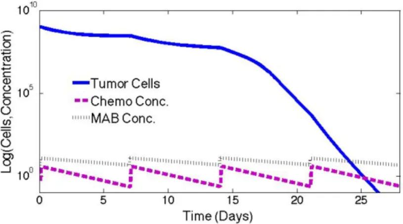 Figura 3.2: Evoluci´ on del tumor bajo acci´ on de mAb Tipo 1 (Modelo de L.G. De Pillis).