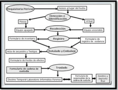 Figura 6. Protocolos de la cadena custodia para la información forense 