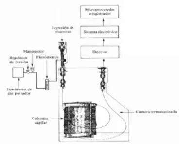 Figura 14. Componentes de un cromatógrafo de gases 