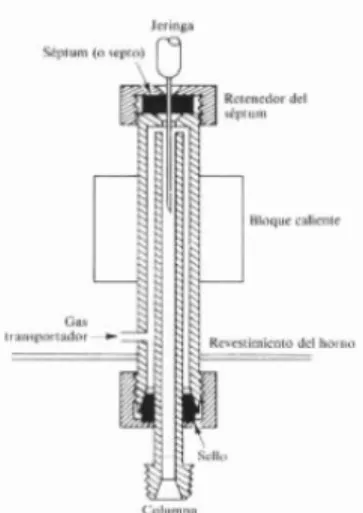 Figura 15. Sistema de inyección 