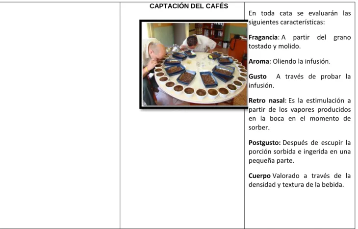 Cuadro No 5: descripción y exposiciones de la cocina. 