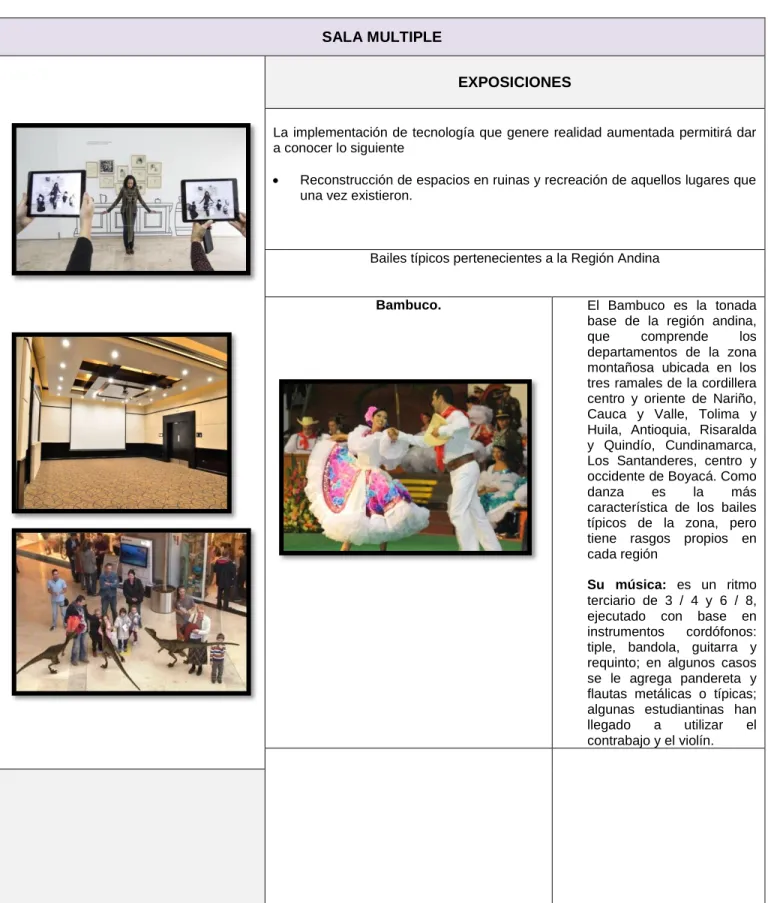 Cuadro No 7: descripción y exposiciones de la sala múltiple. 