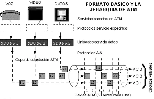 Figura 3.1.3: Jerarquía de ATM 