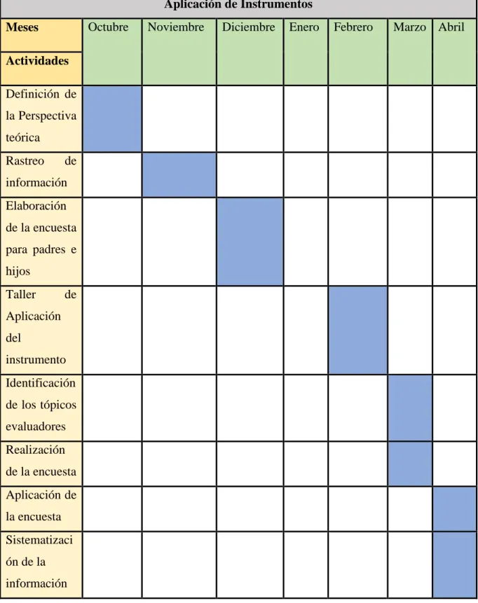 Tabla 10. Formato cronograma.  