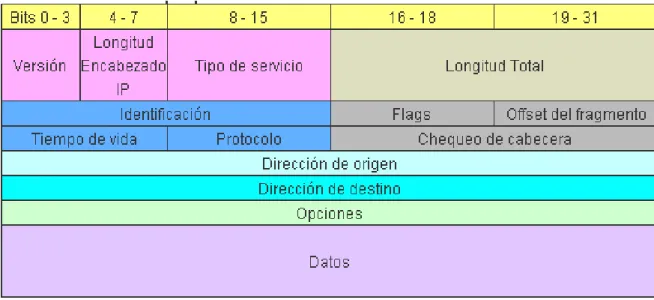Fig. 2-4. Estructura Paquete IPv4 