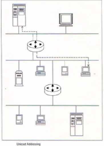 Fig. 3-1. Direccionamiento Unicast 