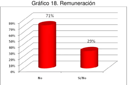 Gráfico 18. Remuneración 