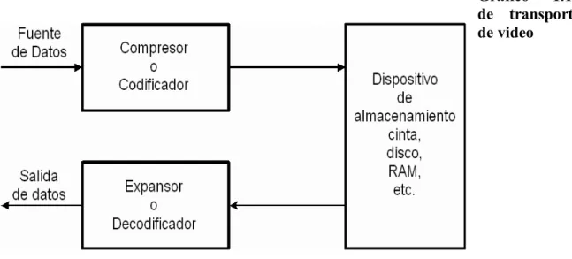 Gráfico  1.10  de  transporte  de video 
