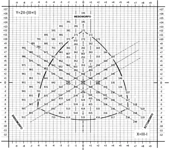 Figura 3. Somatocarta Númerico para determinar las  Coordenadas “X” y “Y” del Somatotipo (Heath &amp; Carter)