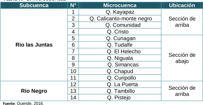 Tabla N° 5. Microcuencas  
