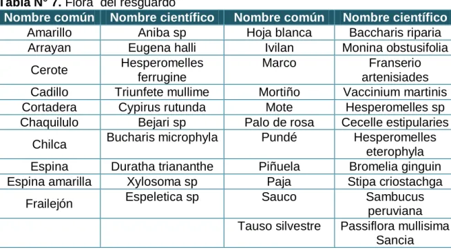Tabla N° 7. Flora  del resguardo 