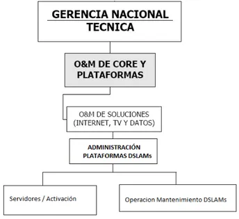 Figura 4. Organigrama estructural del Departamento Administración Plataformas DSLAMs. 