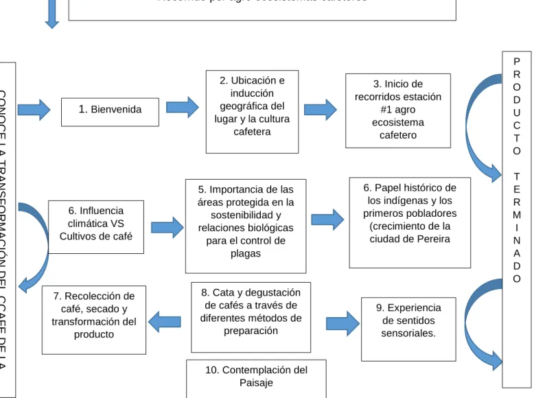 Ilustración 1 procesos para la prestación de servicios 